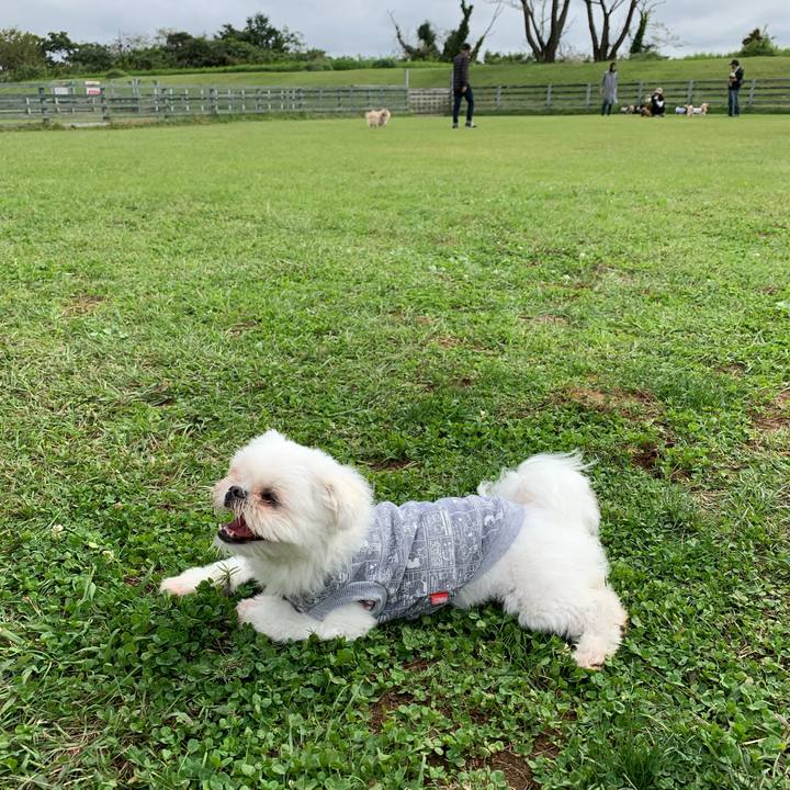 3373f837 4770 4574 b48d 17ed43ea8e87 1665306010849