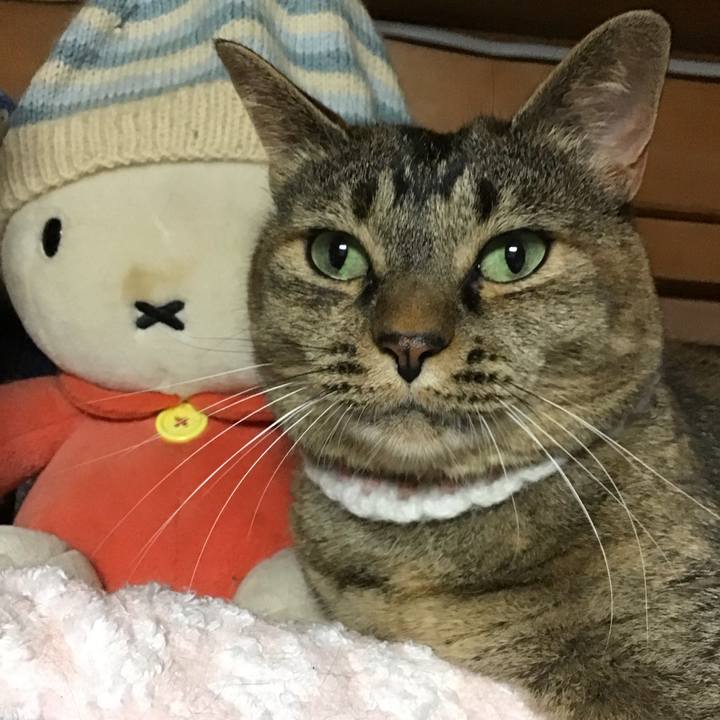 33744386 5150 4d5a ac79 1b5905dbf80c 1753184446481