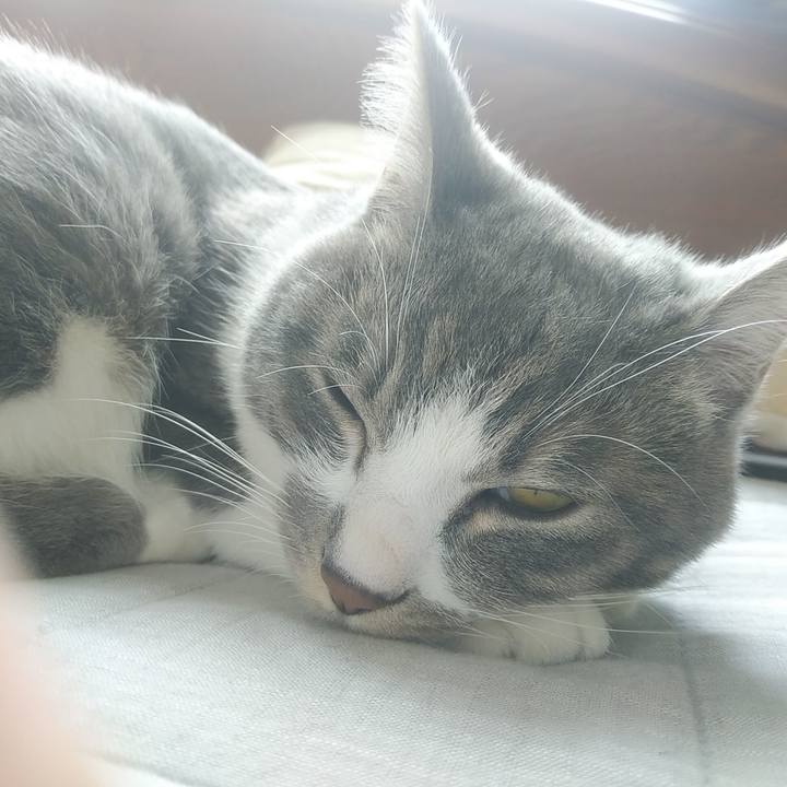 33746585 7f83 4555 8202 aaa3bf53833e 1587690071637