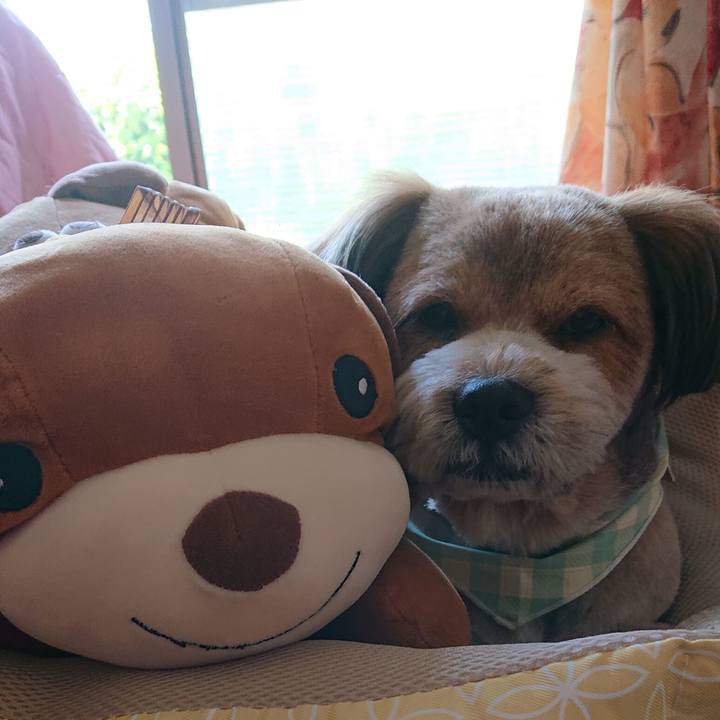 3374b37f de37 4547 8152 26b77e113751 1557375543481