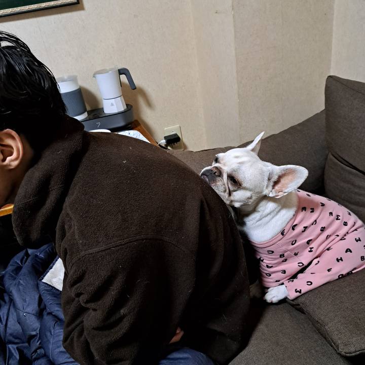 3374eaf5 a5da 4a7b a934 e3343014a2a5 1709764835608