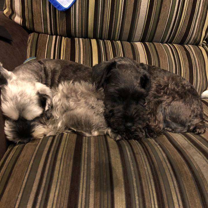 3374ef43 8079 4b2d be5a 466c191a7f50 1539519519531