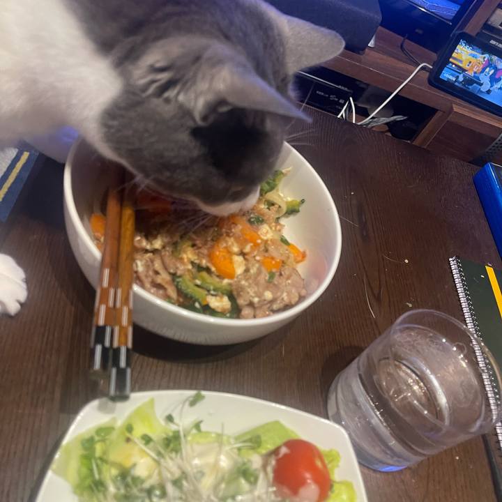 33750750 de20 4e74 b01c 32eb14f14f06 1683025196582