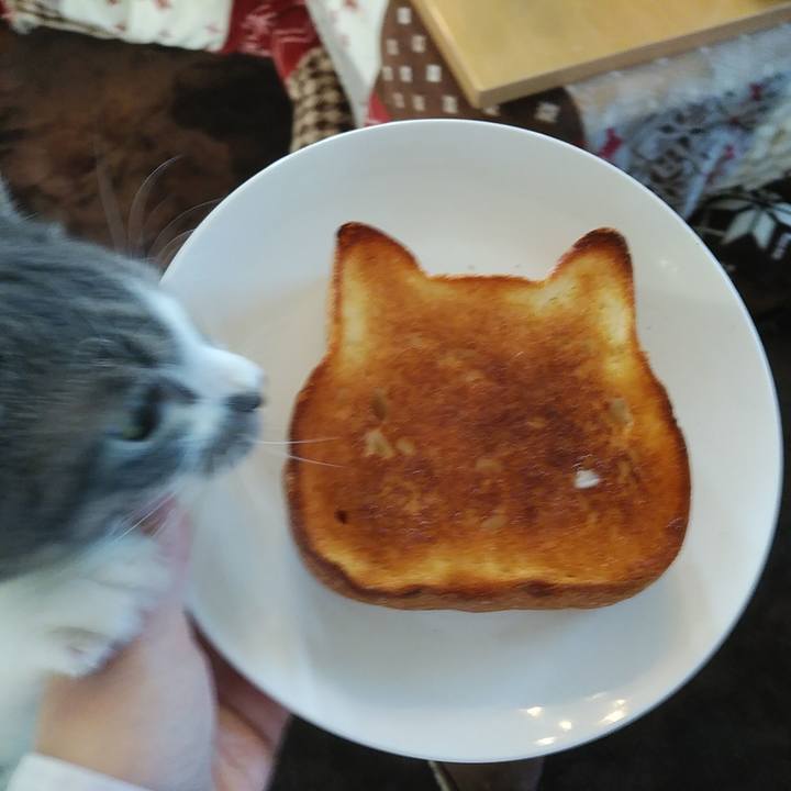 33751876 f639 41b7 ba19 682e03c13e1e 1580532057197