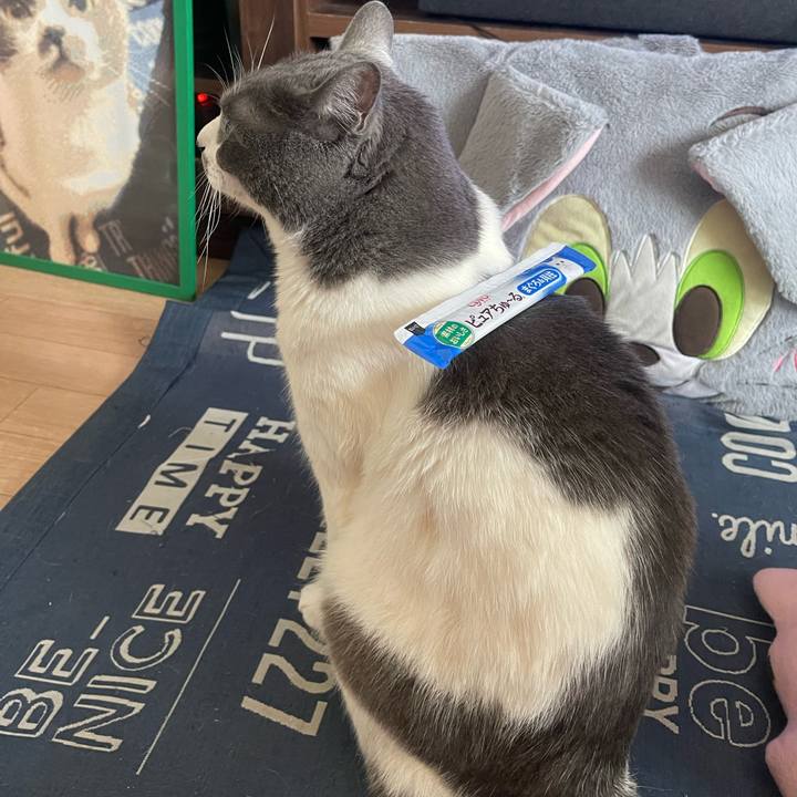 33755e79 0dbb 4e6a a437 257c5d994bc9 1747291054755