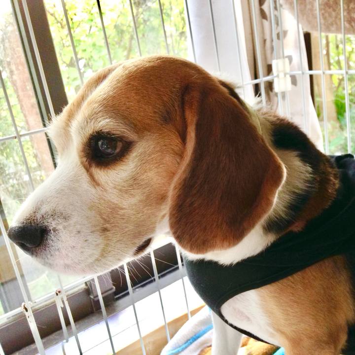 337573da 862b 4d96 a25b ffad08019769 1761121958359