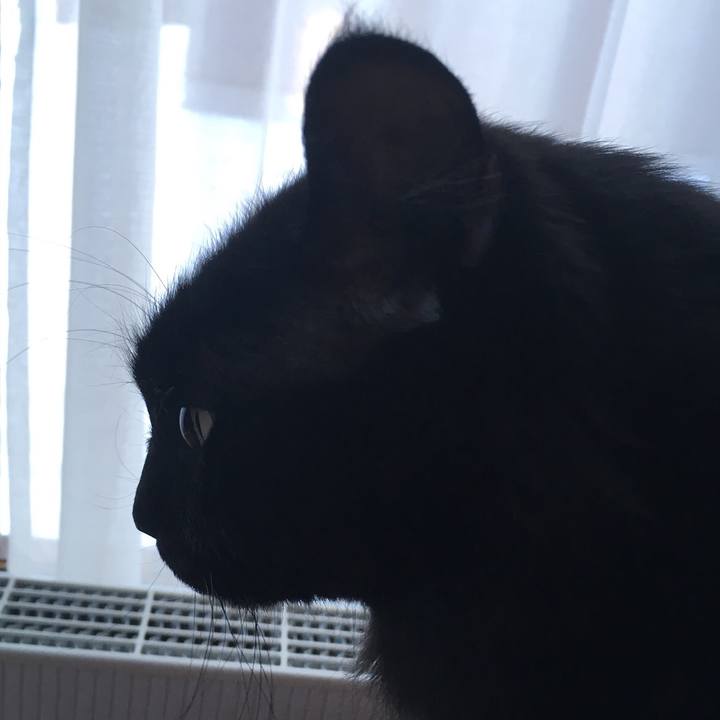 3375a3ac a43c 4157 b4dd 8cf109648091 1516346076432