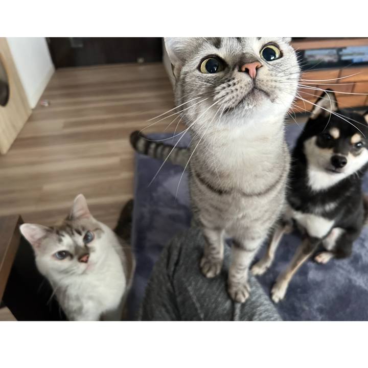 3375af47 669a 4eae 8d94 f3302c0a1c64 1734047443233