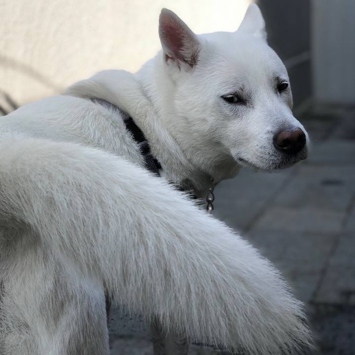 3375c484 f155 46b8 a27d 8892adb807d0 1582718281165