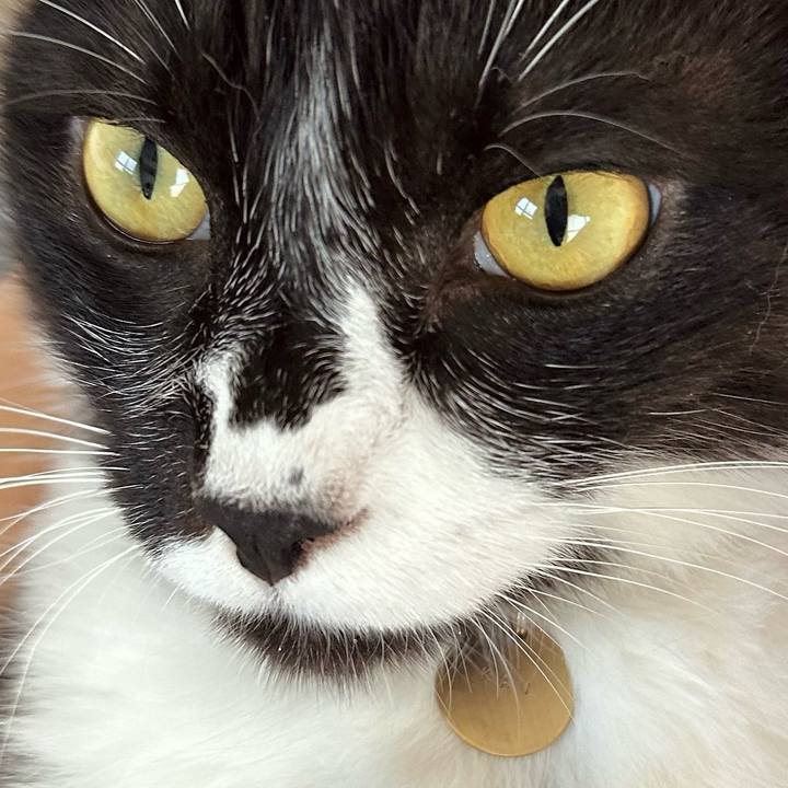 3375d0de 402f 4838 a322 1cecffc4d14e 1756079884510