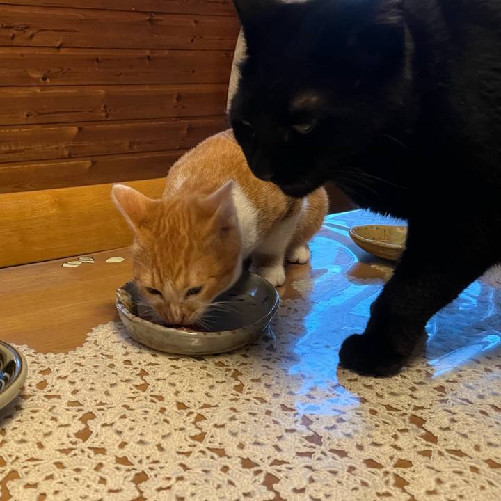 3375fede d1f6 4cef b458 1befbf84901d 1665526212071