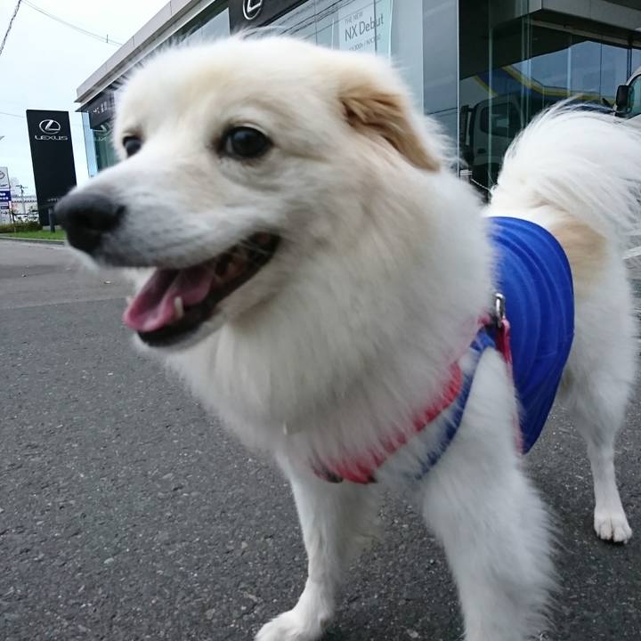 33763b20 820a 43af 839d fd311eb086d7 1507671862974