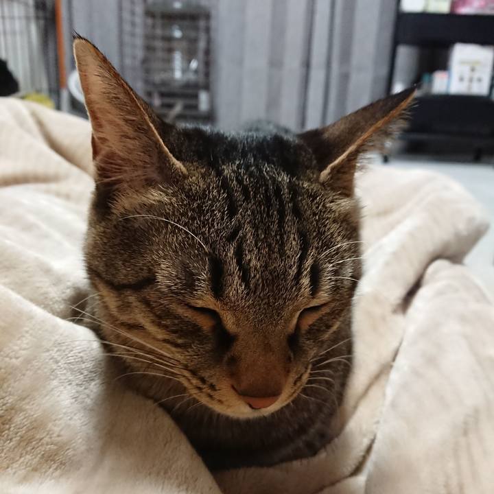 33766f75 cd8d 40ea be85 2aee5d096662 1520652725620