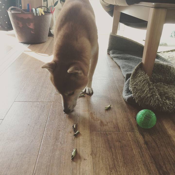 337680b3 8ac9 46c9 b544 de18f4d31360 1539477034419