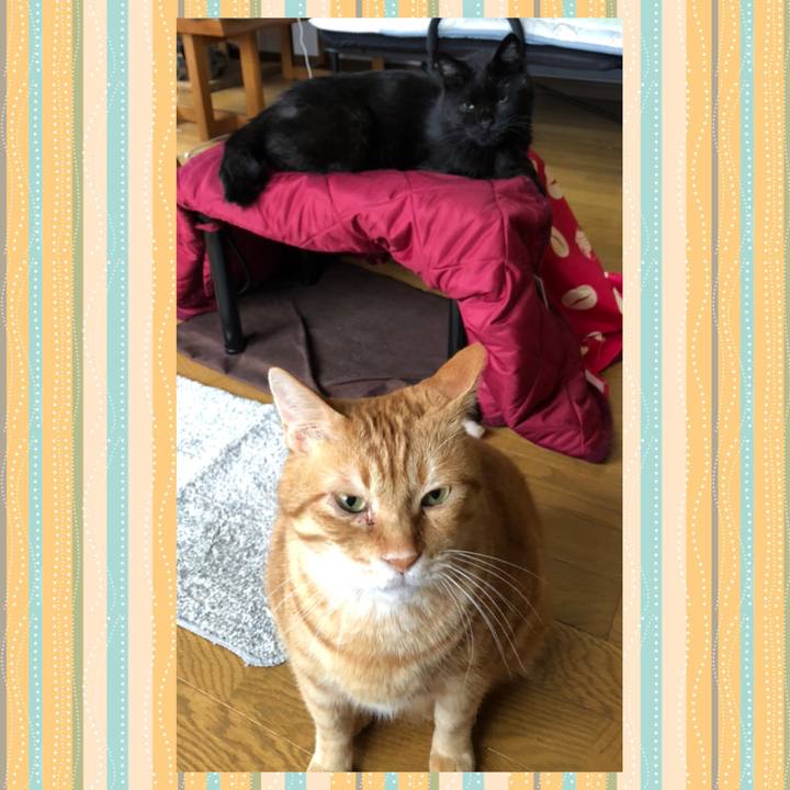 33768c3a ee60 4c65 8f77 c526d17c6717 1623789808799