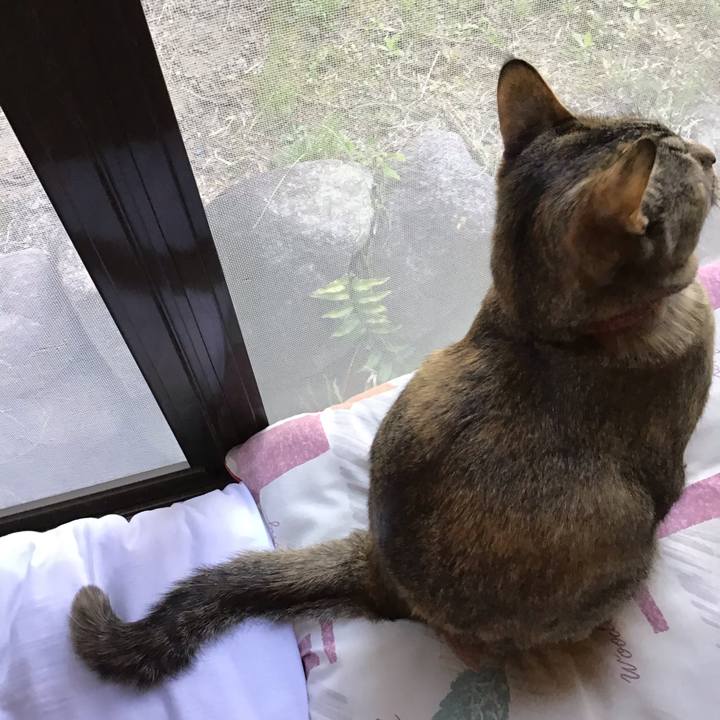 3376ca18 4813 4832 a3a8 6248503e4dfa 1586520157372