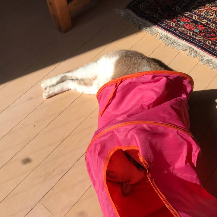 3376e676 b25a 4900 9412 35c34ae3290f 1520837829816