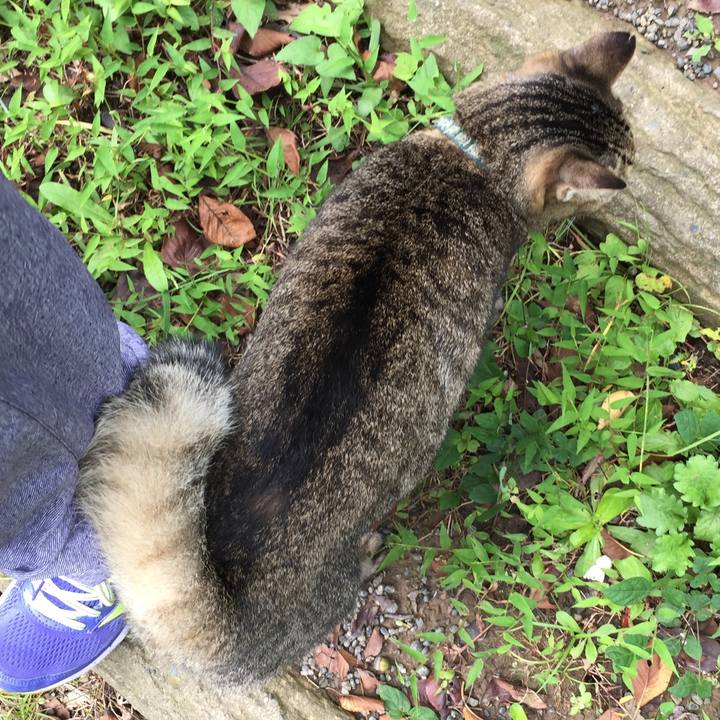 33771ab9 a1b6 4ab7 ab14 cecc9b35b173 1538286111110