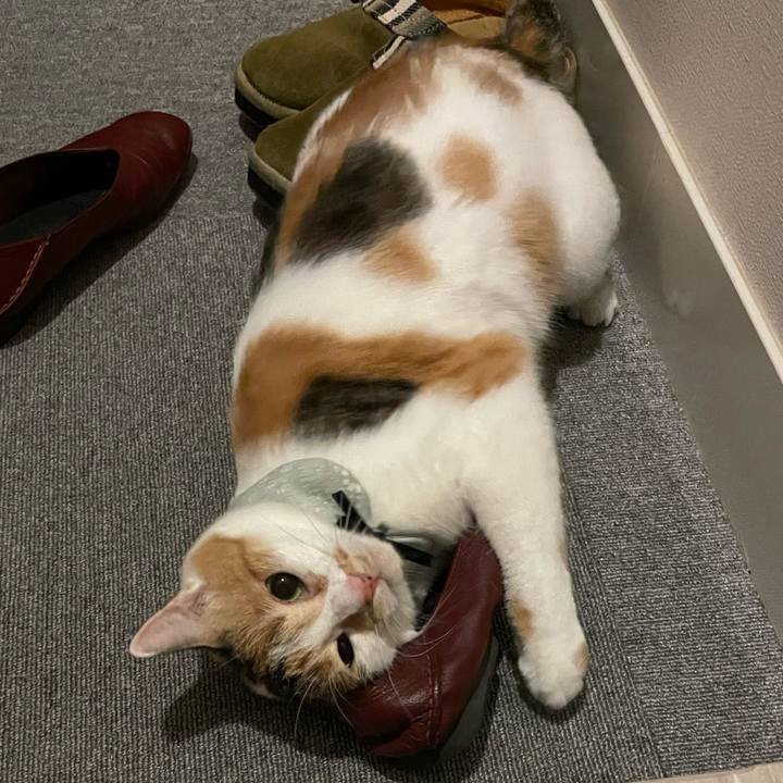 33772c9f 30eb 4328 bfaf 5c5257df9f06 1662284473264