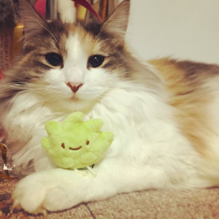 33779742 9398 4db3 9b38 7aab7b86773b 1516287036353