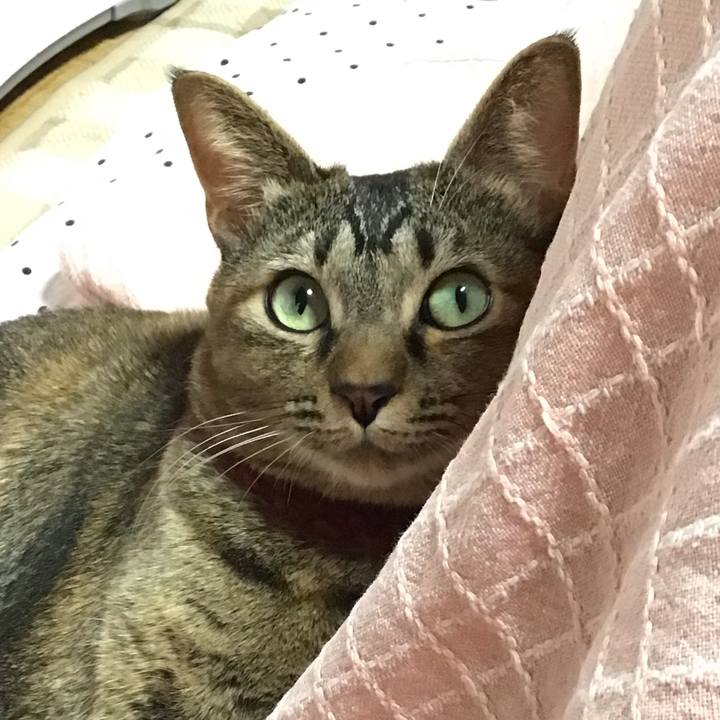 3377a187 6c08 403b 87f8 cf294cd17598 1640732452458