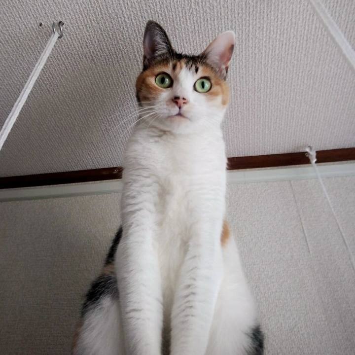 3377ac97 af1d 4f20 87d0 c51077d42ed6 1574243743201