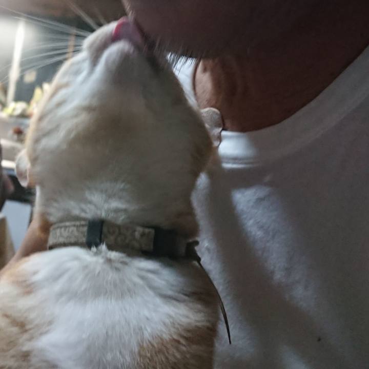 3377b4e2 a571 4fcf 97f5 5bbc6884e25f 1593085875851