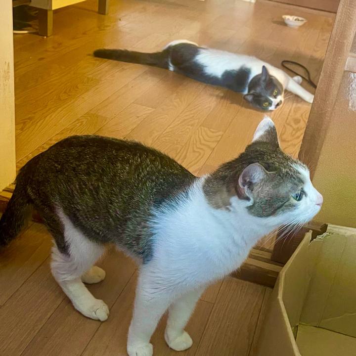 3377c854 8cf9 433e af63 2f084bb3de7e 1627770176268