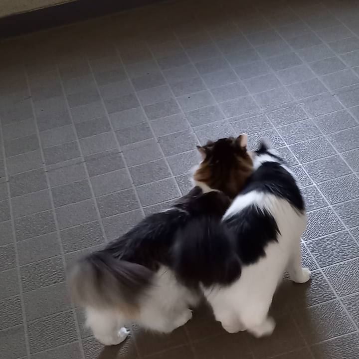 33780e14 ec16 4135 b911 29c8a104638a 1629760460814