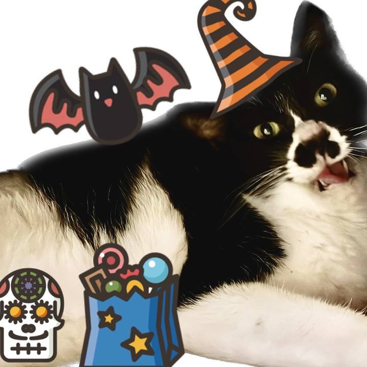 33784abc b3d7 43a8 9756 97f34b5cf0ee 1698710879303