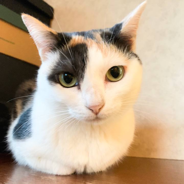 33788b97 a0b0 4047 b390 7355c2ef3a2d 1567820398477