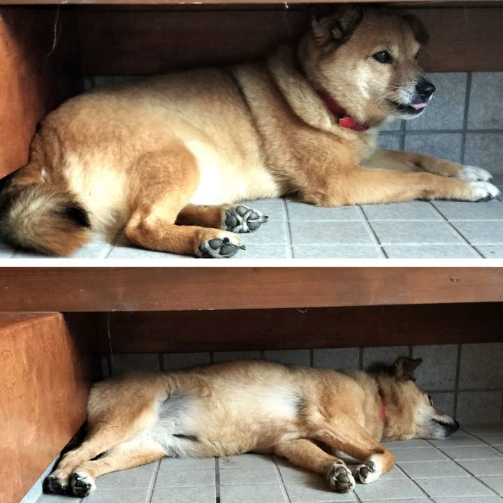 33789c33 66b4 4265 8f6c 0d2c08278436 1751768064779