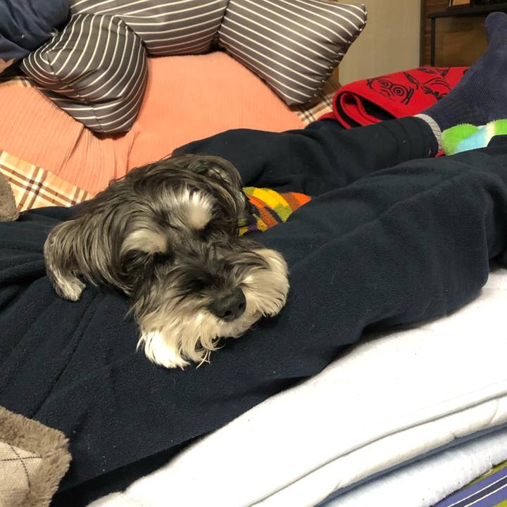 3378a512 3361 4b1e b1df ffb4c7abc485 1678541845407