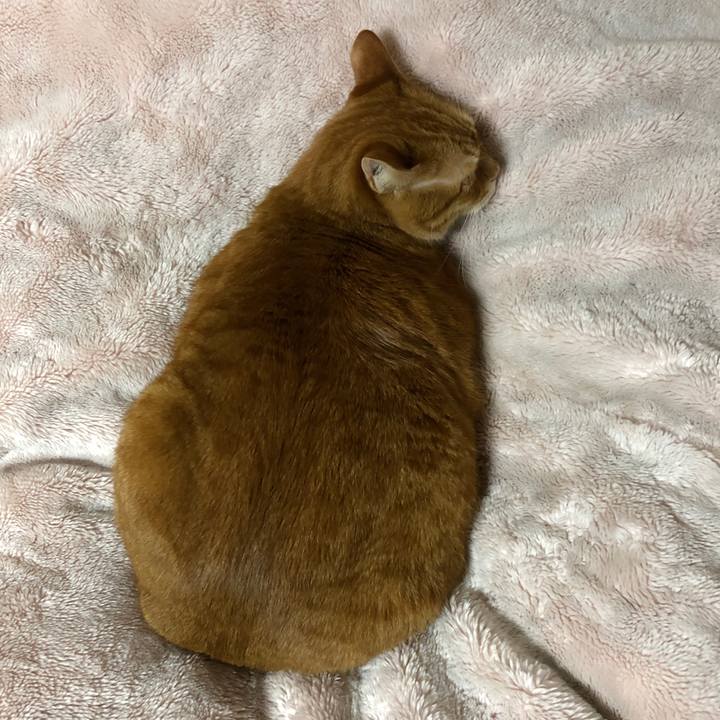 3378bda4 ed20 4448 bddf 6ef104537f04 1707861235082