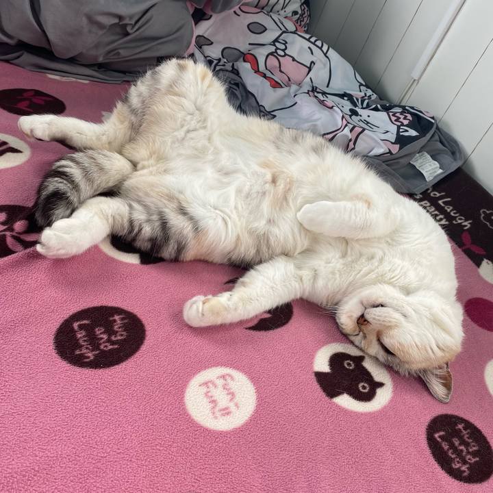 3378d74f 2030 4bb7 ba66 72acb061a7ba 1652332157074