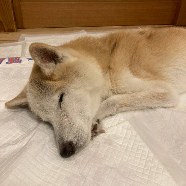 33791245 d3cf 45b5 a318 8aad90442081 1605710575696