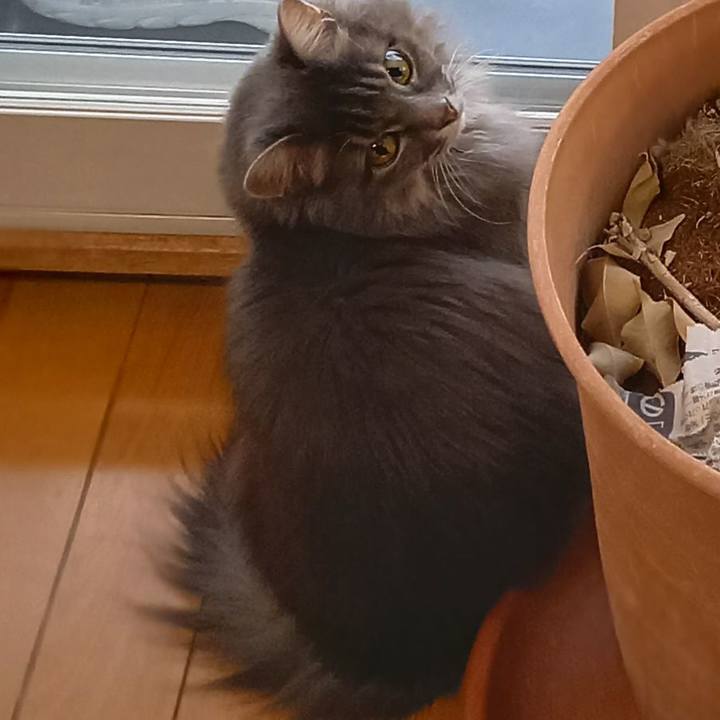 337921d0 316f 4385 98b7 cf4e4413a57a 1610152482246