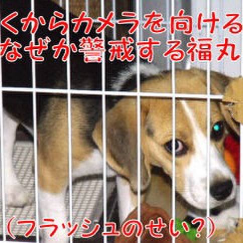 337938d5 0992 4cb6 9e19 bd744fee3b1a 1682729031848