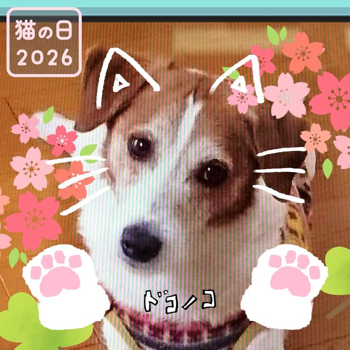 33796ae5 fa4c 490d 8b50 be3e9bd50b87 1771726260080