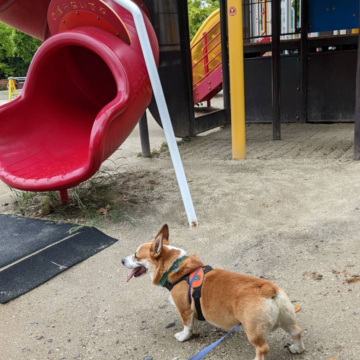 3379787a b5f9 4cbf a1e1 4629cbd778a3 1685412829246