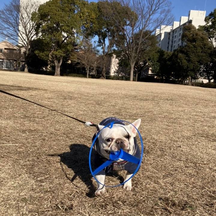 337993f6 6856 4c76 b9a9 a89560f2e01a 1645742788191