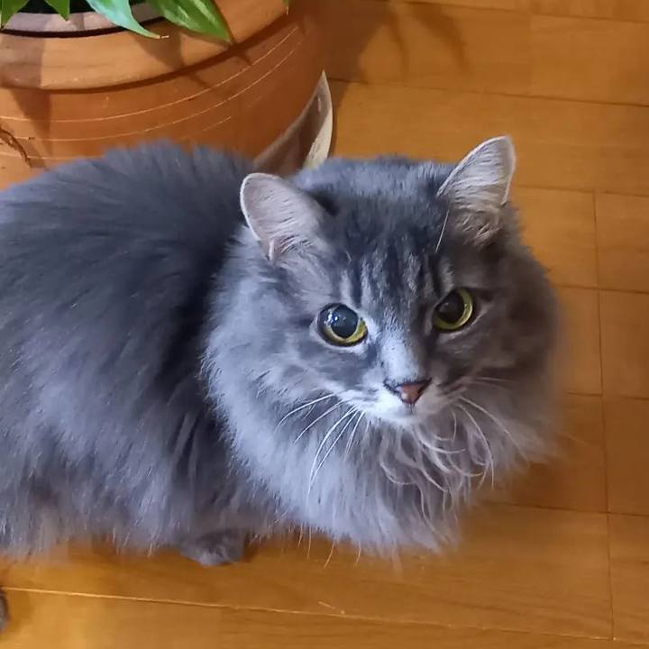 3379c952 c406 461a 8328 1403f9c1c5ad 1670595058473