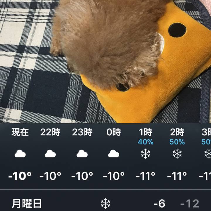 337a3033 8421 4f3b 9cb7 4c9fb4c7a981 1516539106030