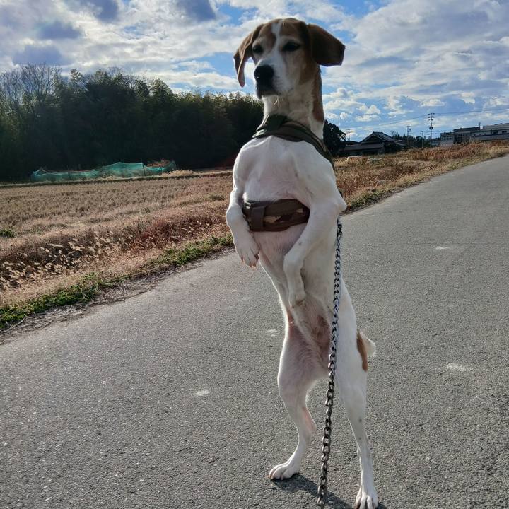 337a405b c9d2 4fb6 bef2 322ffd0904ba 1768203548977