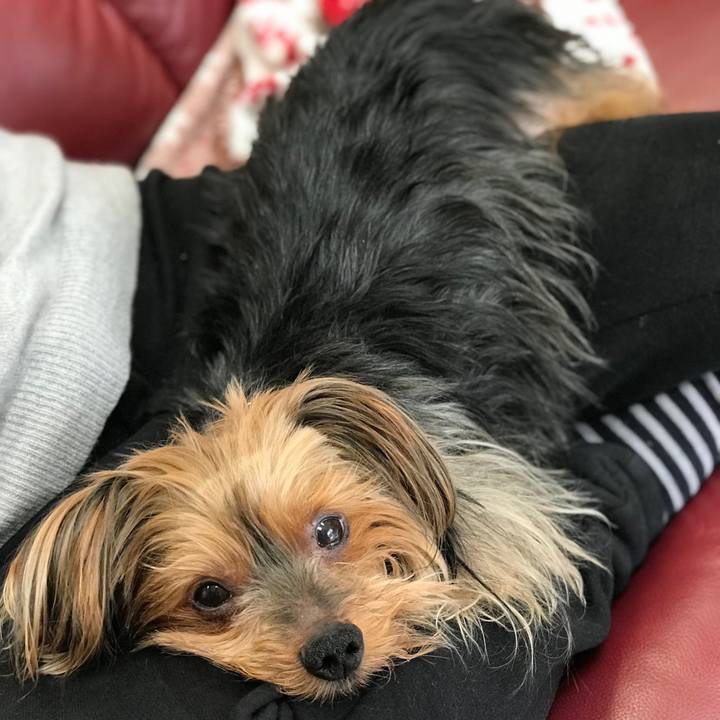 337a40f5 1066 4d73 b105 aaa42aa5b67f 1517807575798