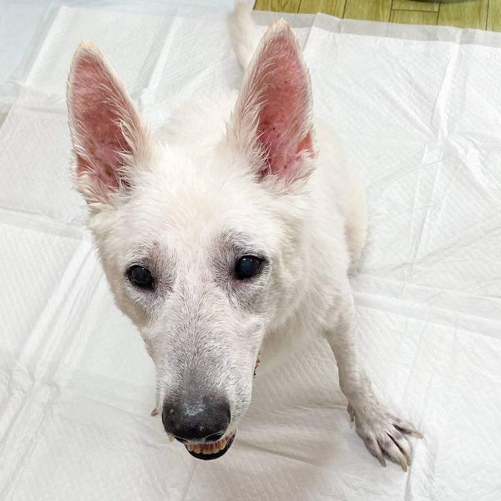 337a5cc0 2602 4c89 b890 4c085d5ba7c9 1668922558252