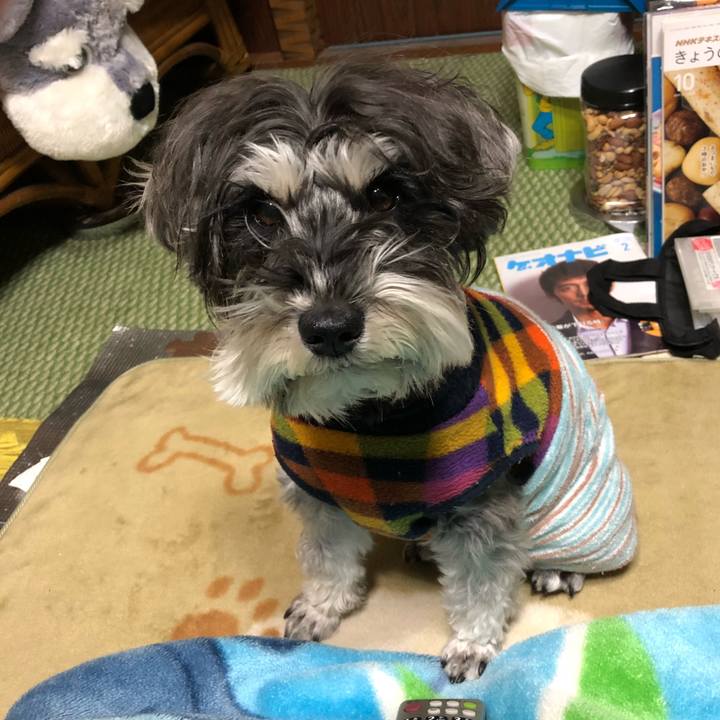 337a6106 dbea 4d5d ab5d 51a8297bc013 1518441429603