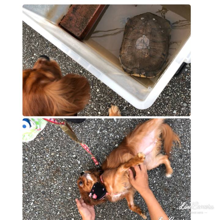 337a8ed0 75d3 470e 8ccb eadf4705af16 1533219273901