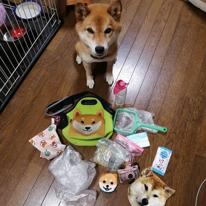 337aa387 7e00 4359 8996 ab01b4449b76 1593949937712