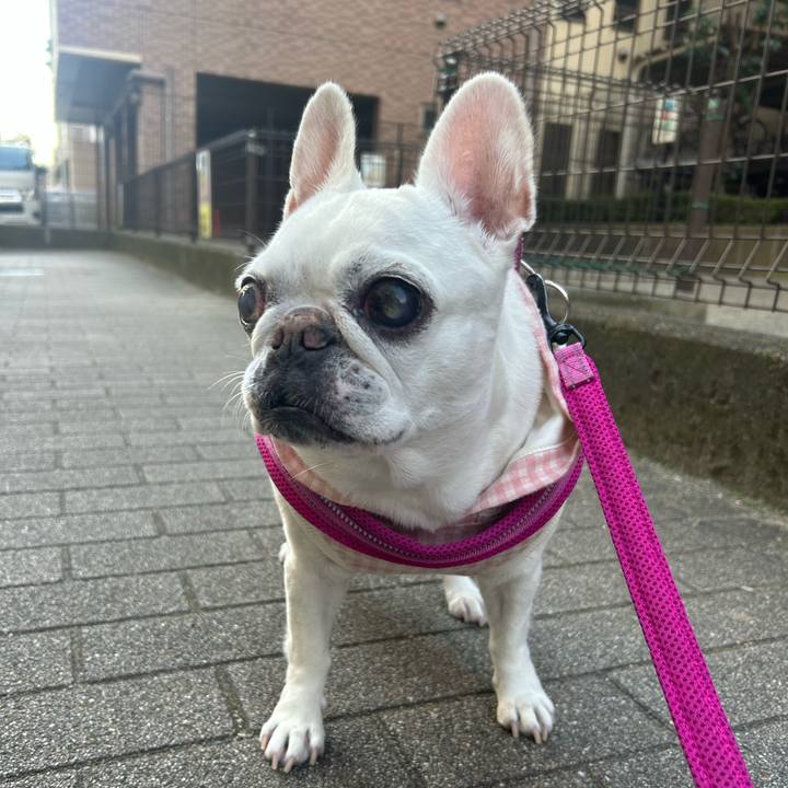 337ab287 20eb 4666 bb61 88dd64eb03fc 1763181489917